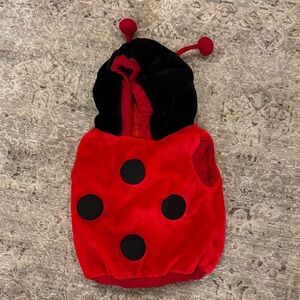 Ladybug Halloween Costume